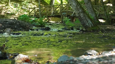 River in forest Stock Footage 92853592