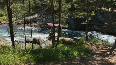 A river in a forest Stock Footage 93027333