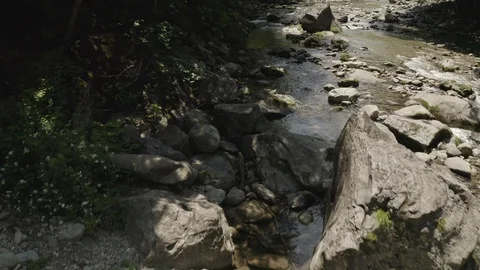River In A Forest Stock Footage 110778281