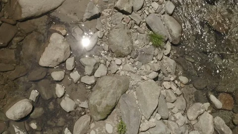 A River In The Forest Stock Footage 110782368