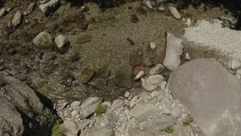 River In The Forest Stock Footage 110782899