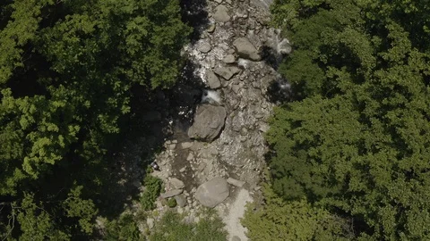 RIver In A Forest Stock Footage 110783171