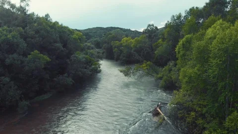 River in the forest Stock Footage 113537624