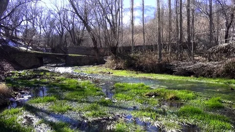 River in the forest Stock Footage 122349586