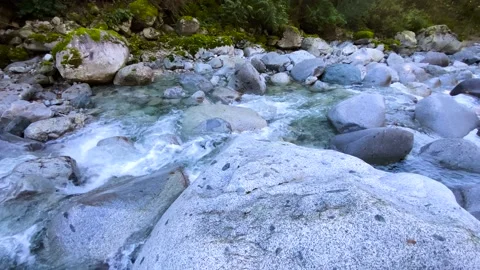 River in The Forest Stock Footage 140690971