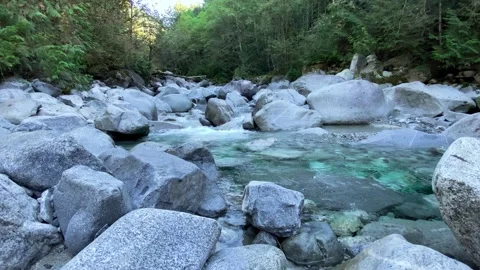 River in The Forest Stock Footage 140692623