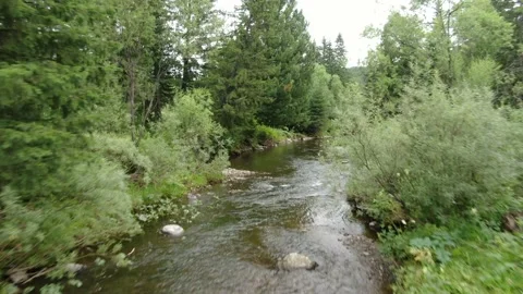 River in the forest Video stock 145177354