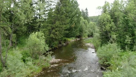 River in the forest Video stock 145177364