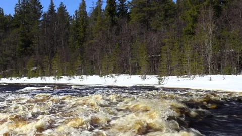River in the forest. Stock Footage 194050342