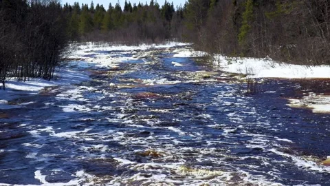 River in the forest. Stock Footage 194050392