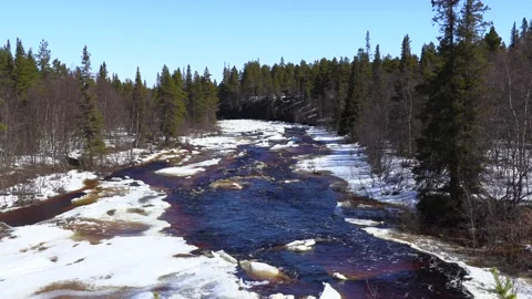 River in the forest. Stock Footage 194050459