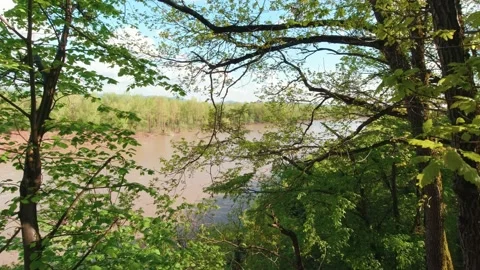 River In The Forest Stock Footage 194838819