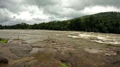 River In Forest Video stock 201549639