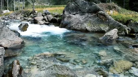 River in the forest Stock Footage 225926639