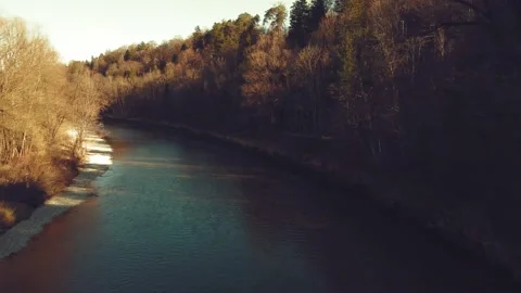 River in the forest 스톡 동영상 229539443