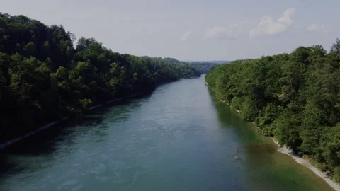 River in the forest 스톡 동영상 246589647