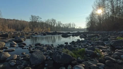 River in the forest Stock Footage 259722138