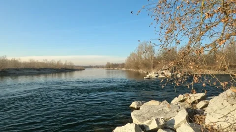 River in the forest Stock Footage 263556418