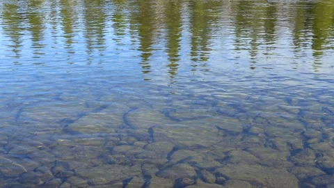 River in the forest Stock Footage 275732863