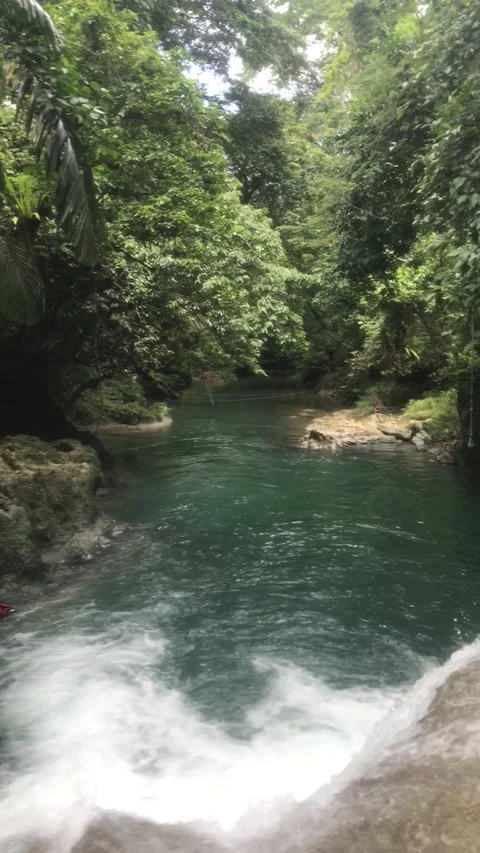 River in forest Stock Footage 280008347