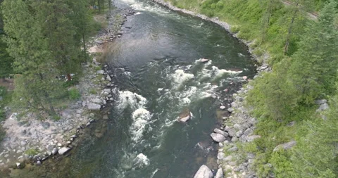 River in a forest Stock Footage 281518882