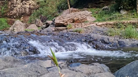 River in the forest Stock Footage 283517717