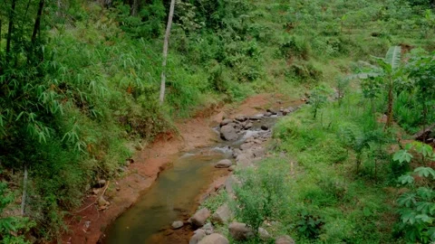 A River in the Forest Stock Footage 292615698