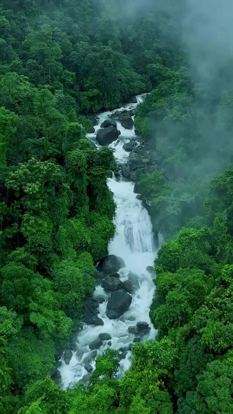 River in the forest Video stock 320594868