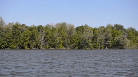 River Forest Forest Movement Stock Footage 50367516