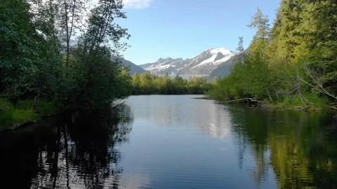 River forest glacier and mountains Stock Footage 100433345