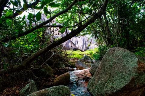 River Forest Granite Stock Photos