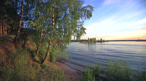 River forest grass Lake Stock Footage 56999323