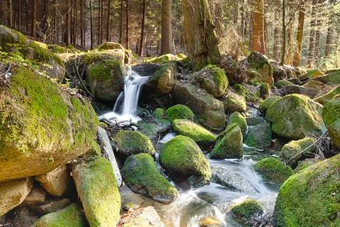 The river in the forest - hdr 스톡 사진