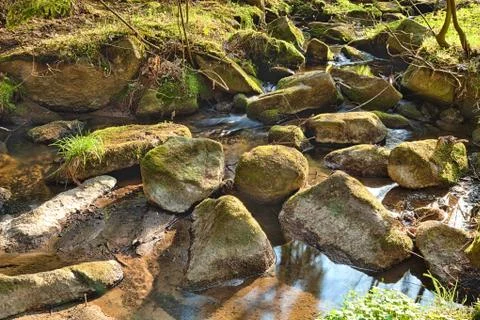 The river in the forest - hdr Stock Photos