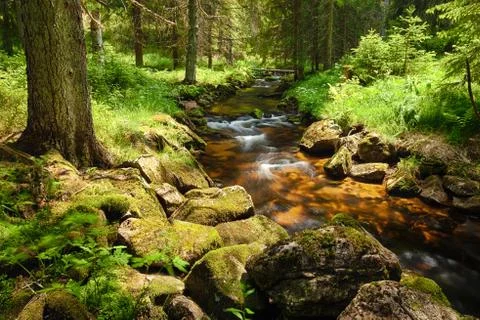 River in the forest - hdr Stock Photos