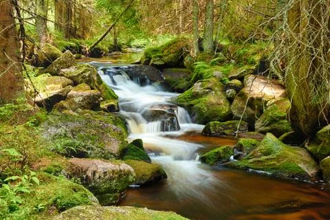 River in the forest - hdr Stock Photos