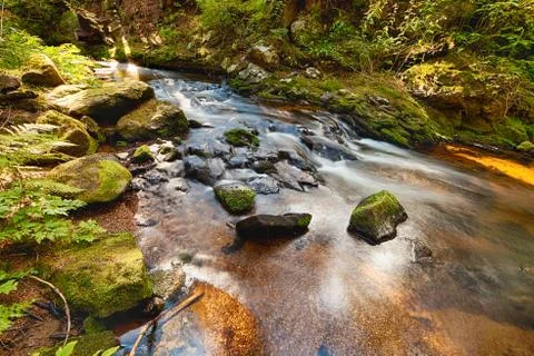 River in the forest - hdr Stock Photos