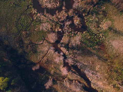 River in the forest from the height of the quadcopter in the spring Stock Photos