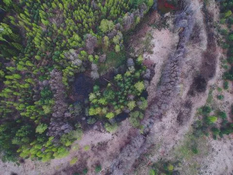 River in the forest from the height of the quadcopter in the spring Stock Photos