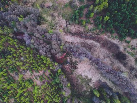 River in the forest from the height of the quadcopter in the spring Stock Photos