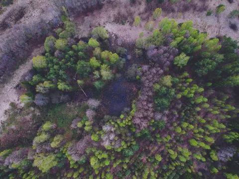 River in the forest from the height of the quadcopter in the spring Stock Photos