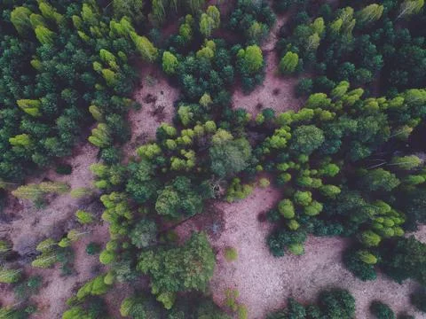 River in the forest from the height of the quadcopter in the spring Stock Photos