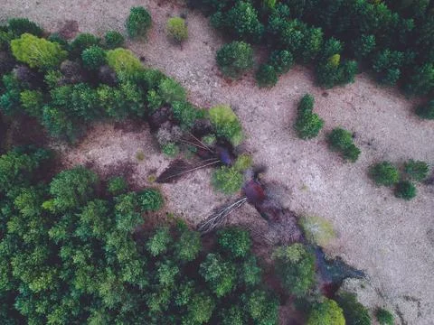 River in the forest from the height of the quadcopter in the spring Stock Photos