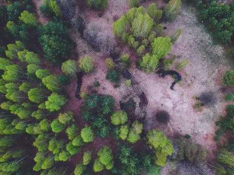 River in the forest from the height of the quadcopter in the spring Stock Photos