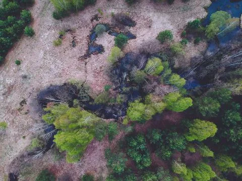 River in the forest from the height of the quadcopter in the spring Stock Photos