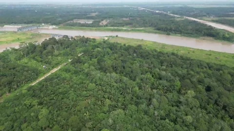 RIVER FOREST INDONESIA Stock Footage 242060439