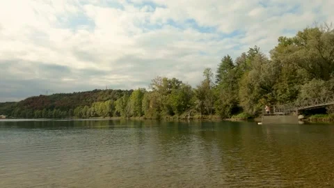 River in the forest with jetty Stock Footage 219805183