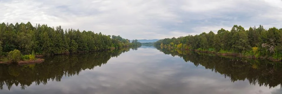 River in the forest landscape Stock Photos