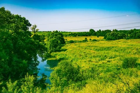 River forest landscape Foto stock