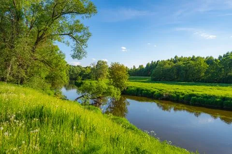 River forest landscape Фото